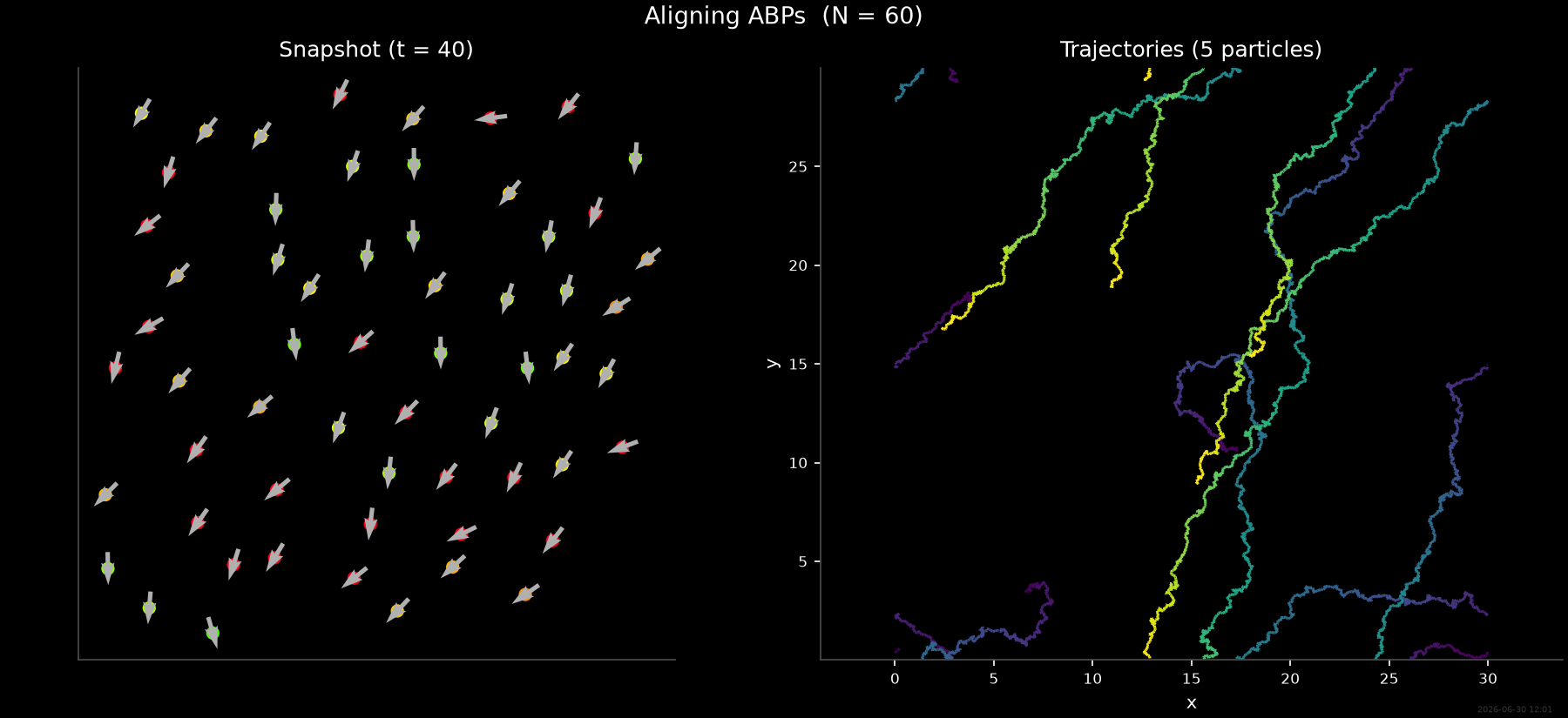 Aligning ABPs  (N = 60), Snapshot (t = 40), Trajectories (5 particles)