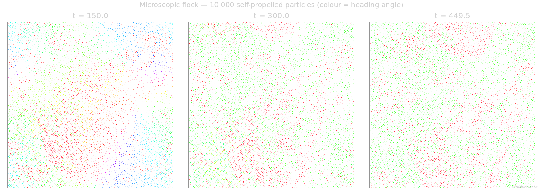 Microscopic flock — 10 000 self-propelled particles (colour = heading angle), t = 150.0, t = 300.0, t = 449.5