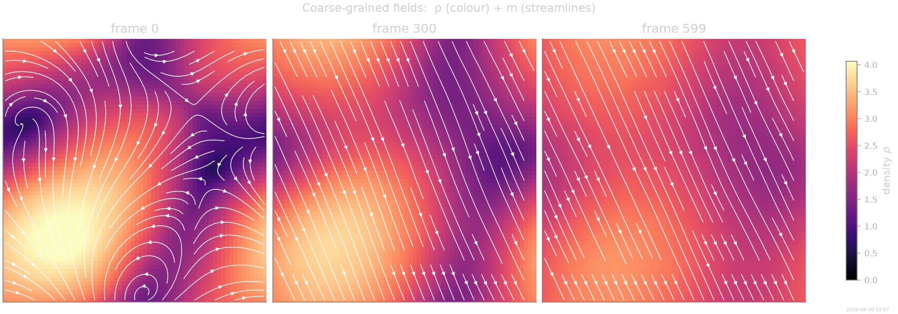 Coarse-grained fields:  ρ (colour) + m (streamlines), frame 0, frame 300, frame 599