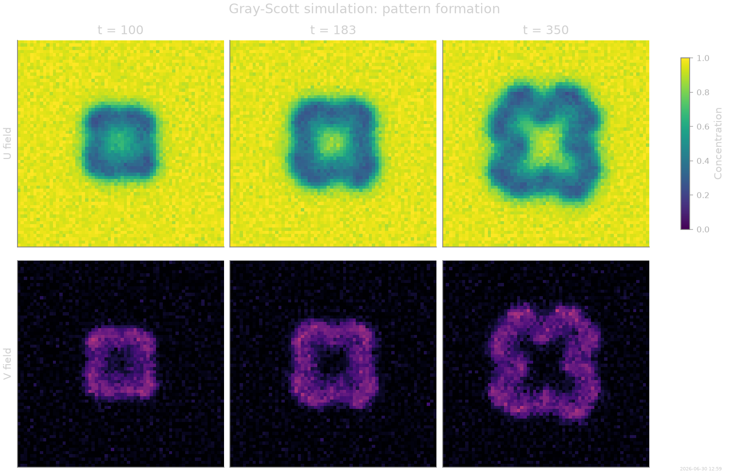 Gray-Scott simulation: pattern formation, t = 100, t = 183, t = 350