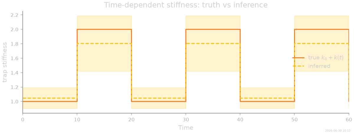 Time-dependent stiffness: truth vs inference